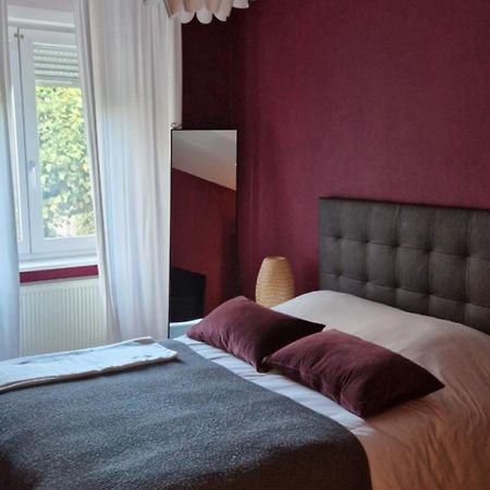 Cosy Appartement Complet Centre-Ville Montbeliard Luaran gambar