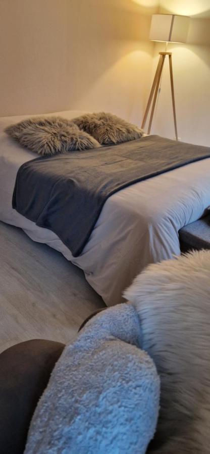 Cosy Appartement Complet Centre-Ville Montbeliard Luaran gambar